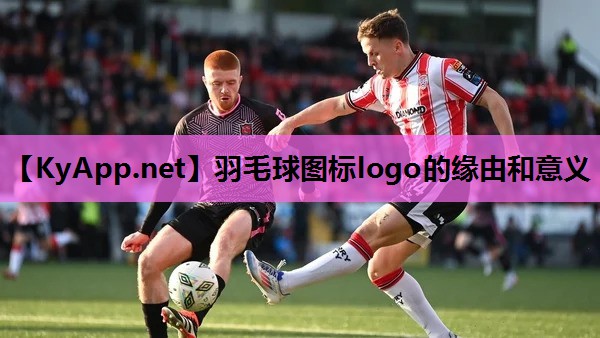羽毛球图标logo的缘由和意义