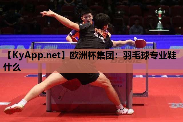 欧洲杯集团：羽毛球专业鞋什么