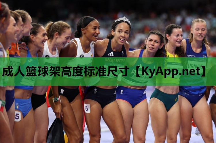 成人篮球架高度标准尺寸