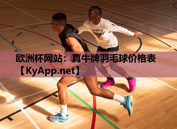 欧洲杯网站：真牛牌羽毛球价格表