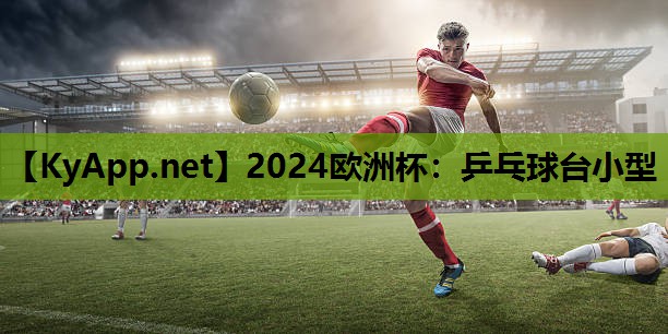 乒乓球台小型 乒乓球台小型