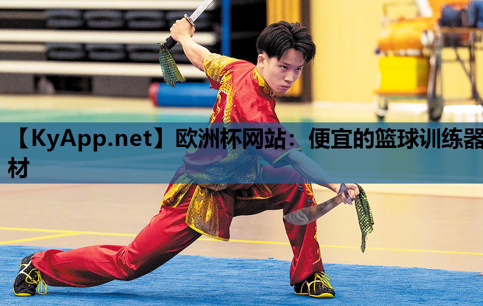 便宜的篮球训练器材 便宜的篮球训练器材