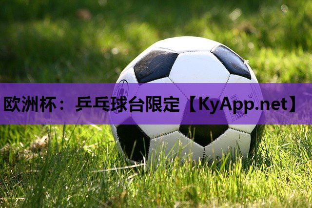 乒乓球台限定 乒乓球台限定