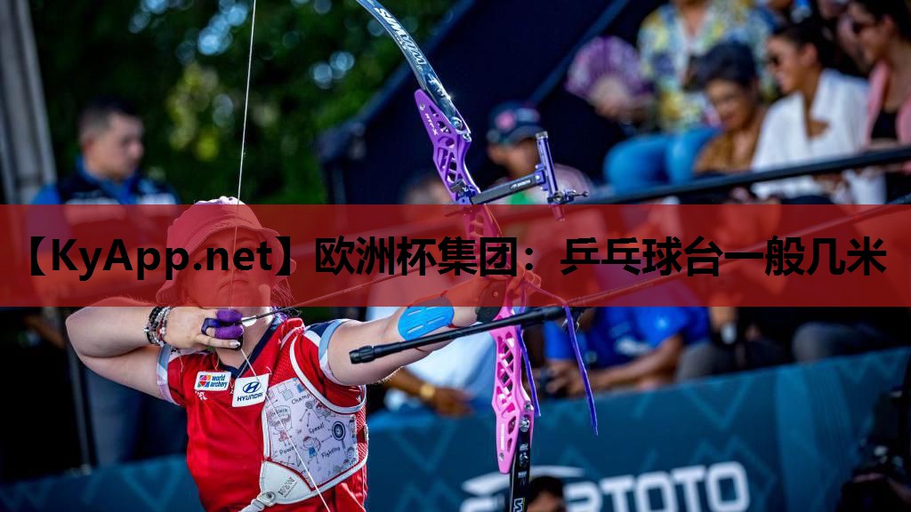 乒乓球台一般几米 乒乓球台一般几米