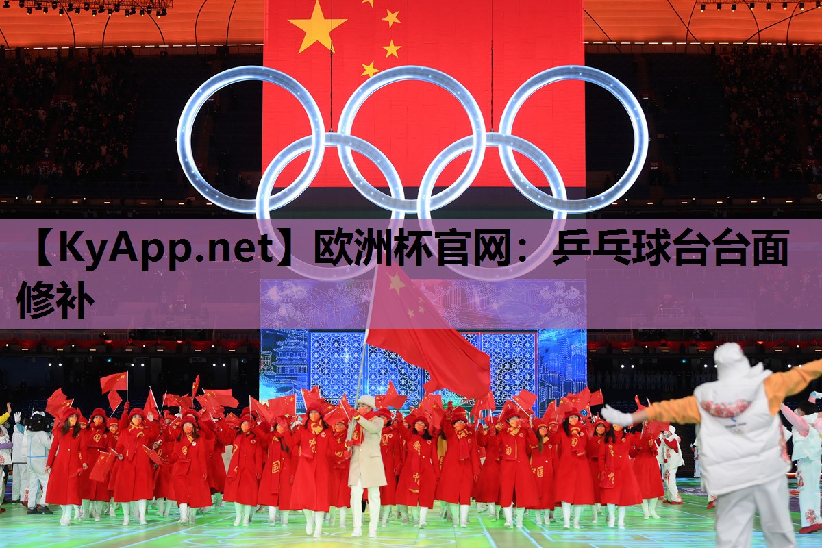 乒乓球台台面修补 乒乓球台台面修补