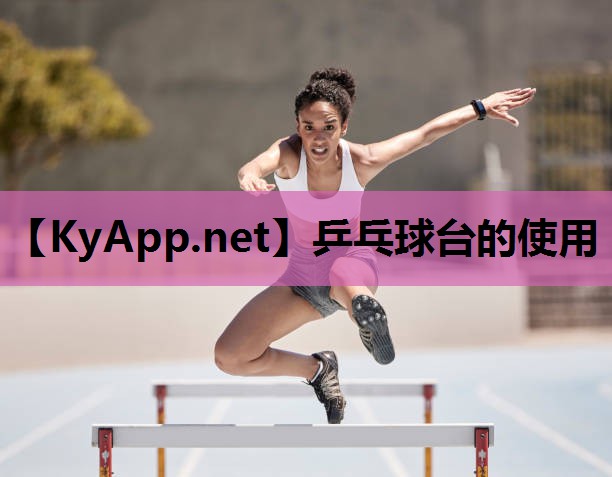 乒乓球台的使用 乒乓球台的使用