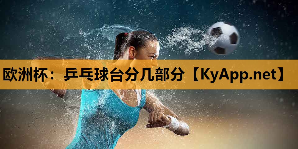 乒乓球台分几部分 乒乓球台分几部分