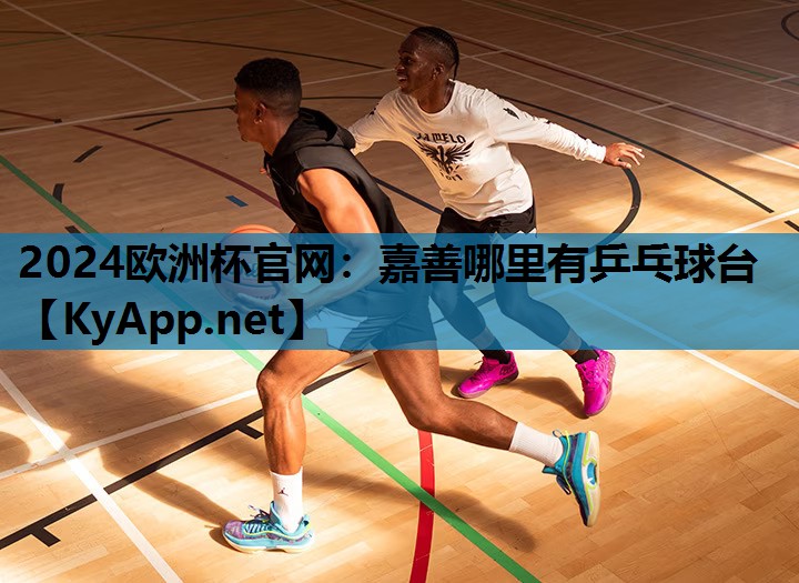 嘉善哪里有乒乓球台 嘉善哪里有乒乓球台