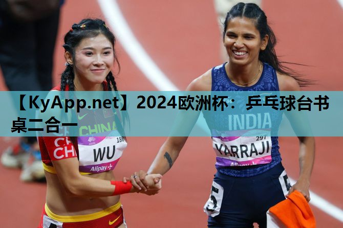 乒乓球台书桌二合一 乒乓球台书桌二合一