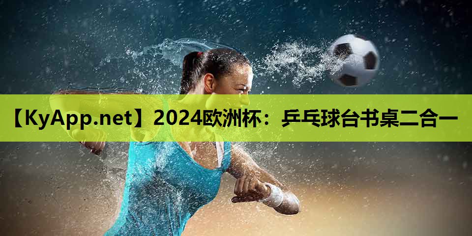 乒乓球台书桌二合一 乒乓球台书桌二合一