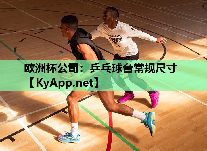 乒乓球台常规尺寸 乒乓球台常规尺寸