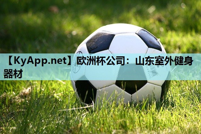 山东室外健身器材 山东室外健身器材