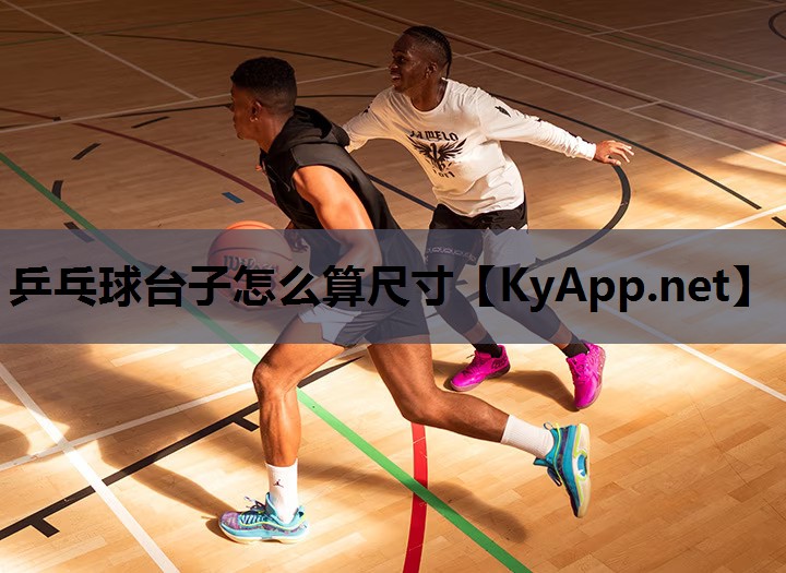 乒乓球台子怎么算尺寸 乒乓球台子怎么算尺寸