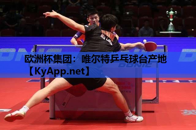 唯尔特乒乓球台产地 唯尔特乒乓球台产地