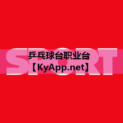 乒乓球台职业台 乒乓球台职业台