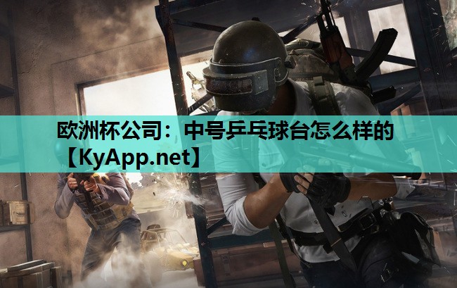 中号乒乓球台怎么样的 中号乒乓球台怎么样的