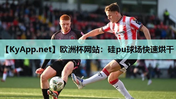 硅pu球场快速烘干 硅pu球场快速烘干