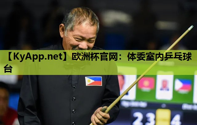 体委室内乒乓球台 体委室内乒乓球台
