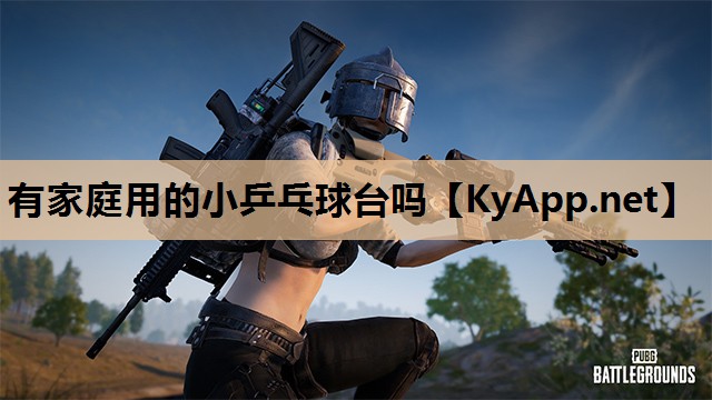 有家庭用的小乒乓球台吗 有家庭用的小乒乓球台吗