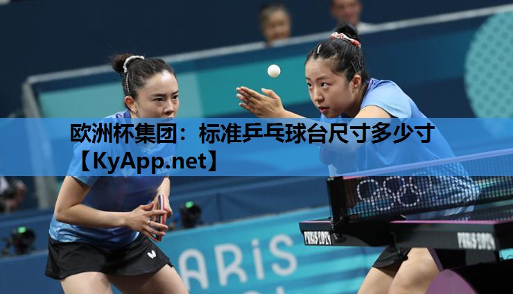 标准乒乓球台尺寸多少寸 标准乒乓球台尺寸多少寸