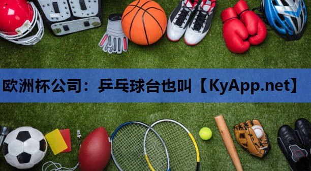 乒乓球台也叫 乒乓球台也叫