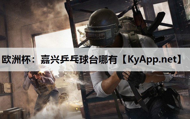 嘉兴乒乓球台哪有 嘉兴乒乓球台哪有