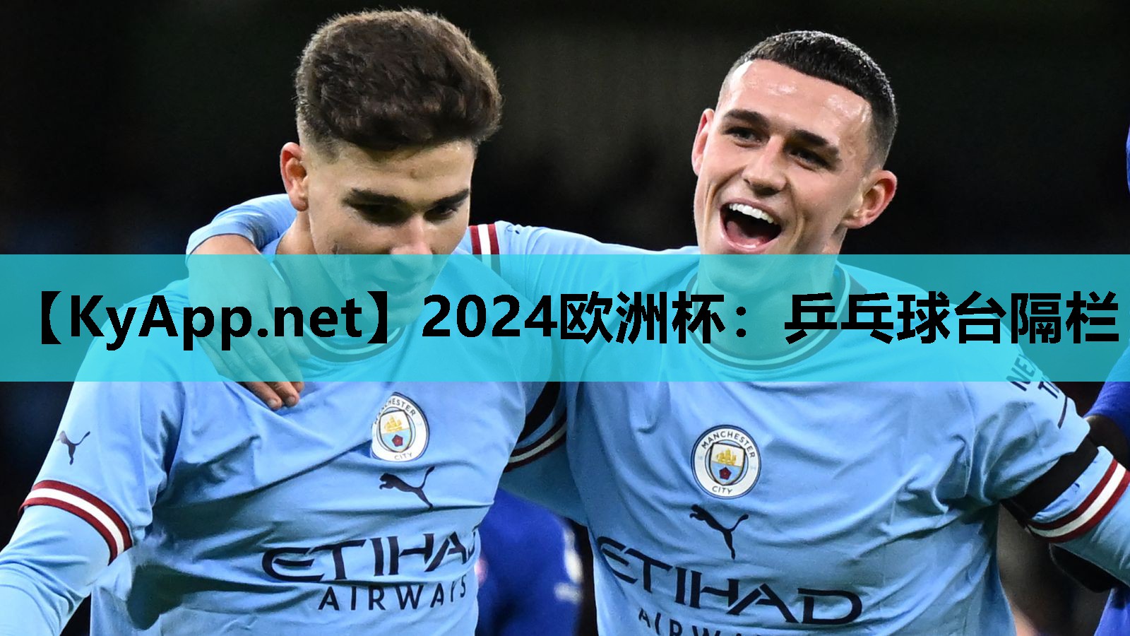 乒乓球台隔栏 乒乓球台隔栏