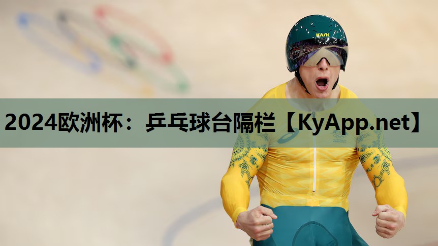 乒乓球台隔栏 乒乓球台隔栏