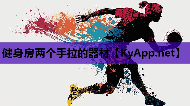 健身房两个手拉的器材 健身房两个手拉的器材