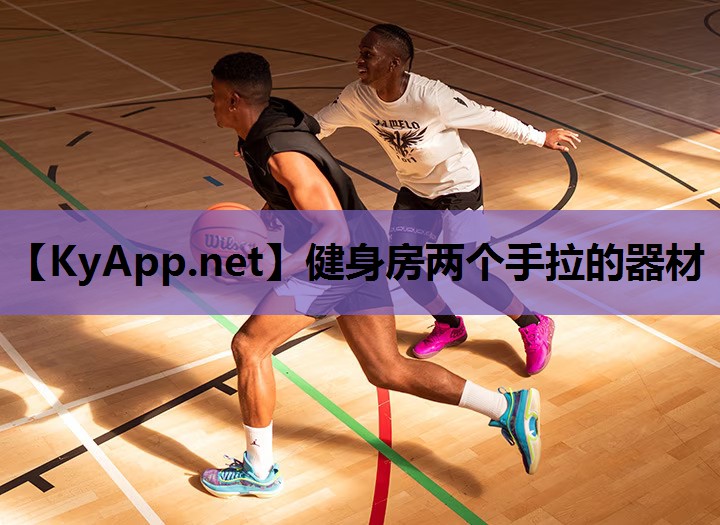 健身房两个手拉的器材 健身房两个手拉的器材