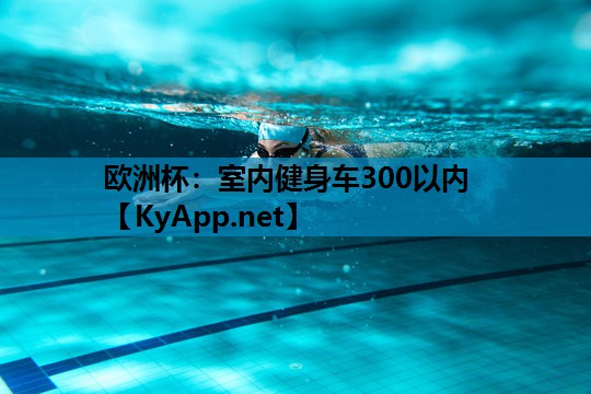室内健身车300以内 室内健身车300以内