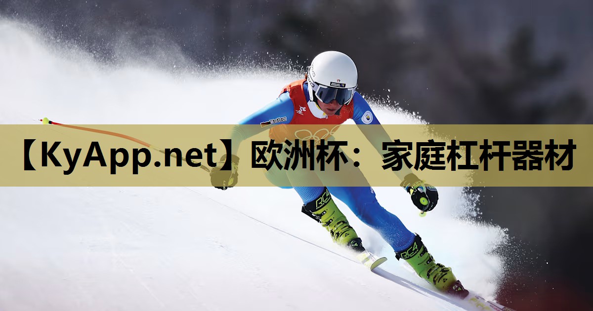 家庭杠杆器材 家庭杠杆器材