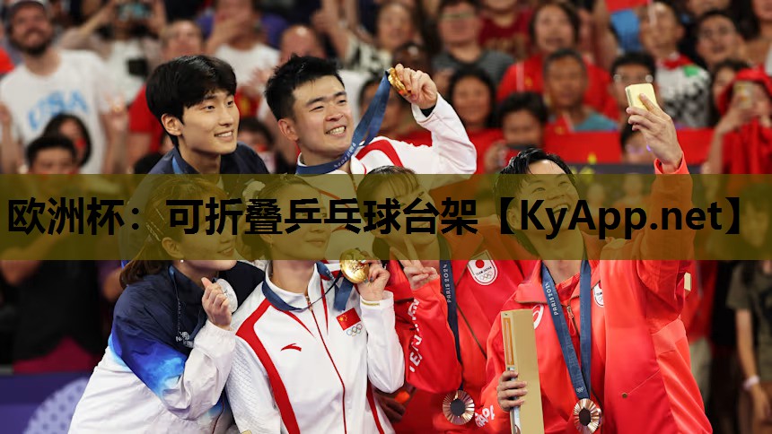 可折叠乒乓球台架 可折叠乒乓球台架