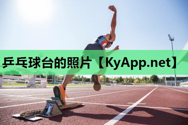 乒乓球台的照片 乒乓球台的照片