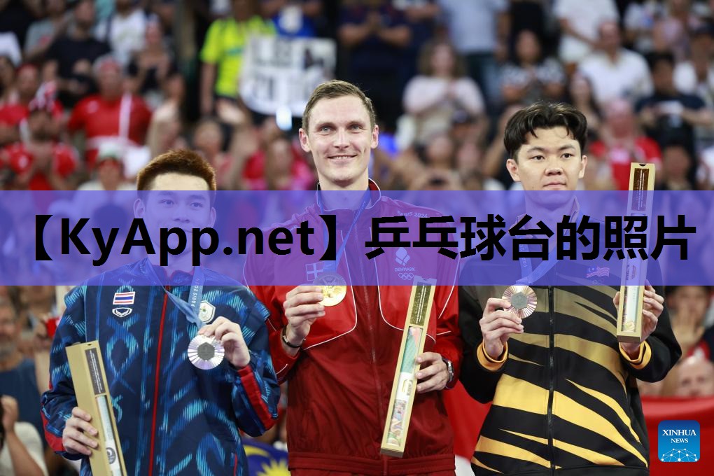 乒乓球台的照片 乒乓球台的照片