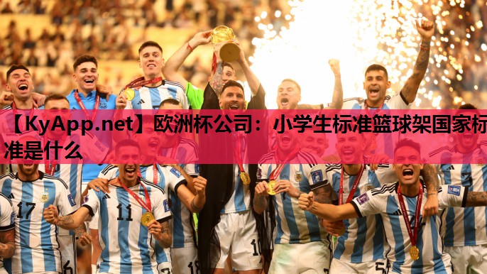小学生标准篮球架国家标准是什么 小学生标准篮球架国家标准是什么