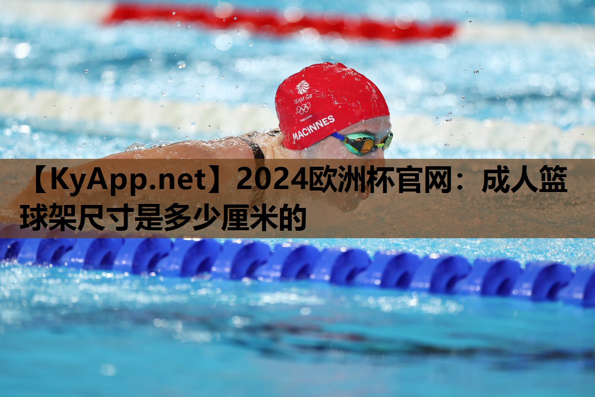 成人篮球架尺寸是多少厘米的 成人篮球架尺寸是多少厘米的