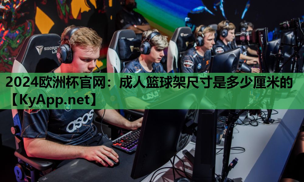 成人篮球架尺寸是多少厘米的 成人篮球架尺寸是多少厘米的