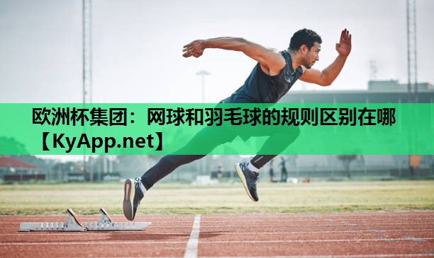 网球和羽毛球的规则区别在哪 网球和羽毛球的规则区别在哪
