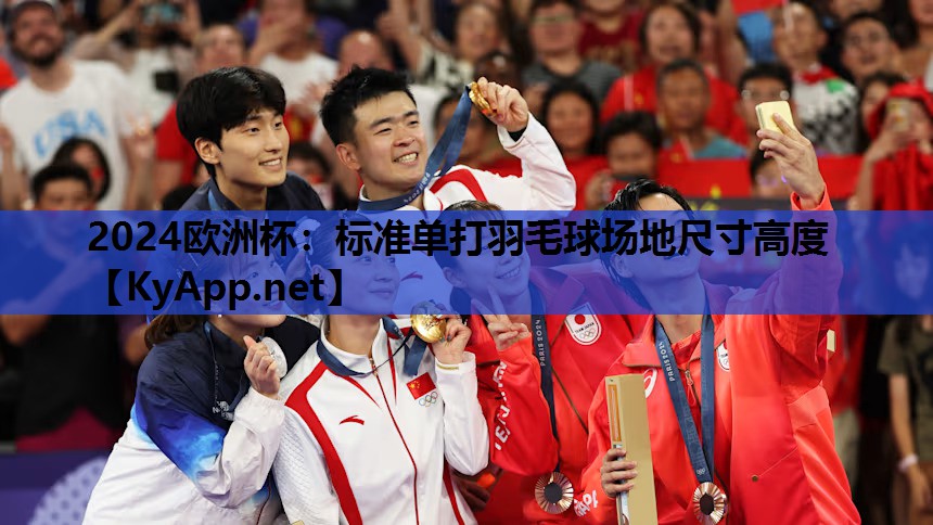 标准单打羽毛球场地尺寸高度 标准单打羽毛球场地尺寸高度