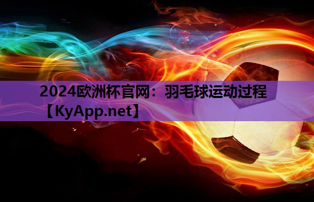 羽毛球运动过程 羽毛球运动过程