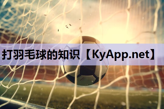 打羽毛球的知识 打羽毛球的知识