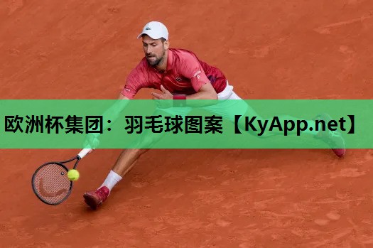 羽毛球图案 羽毛球图案