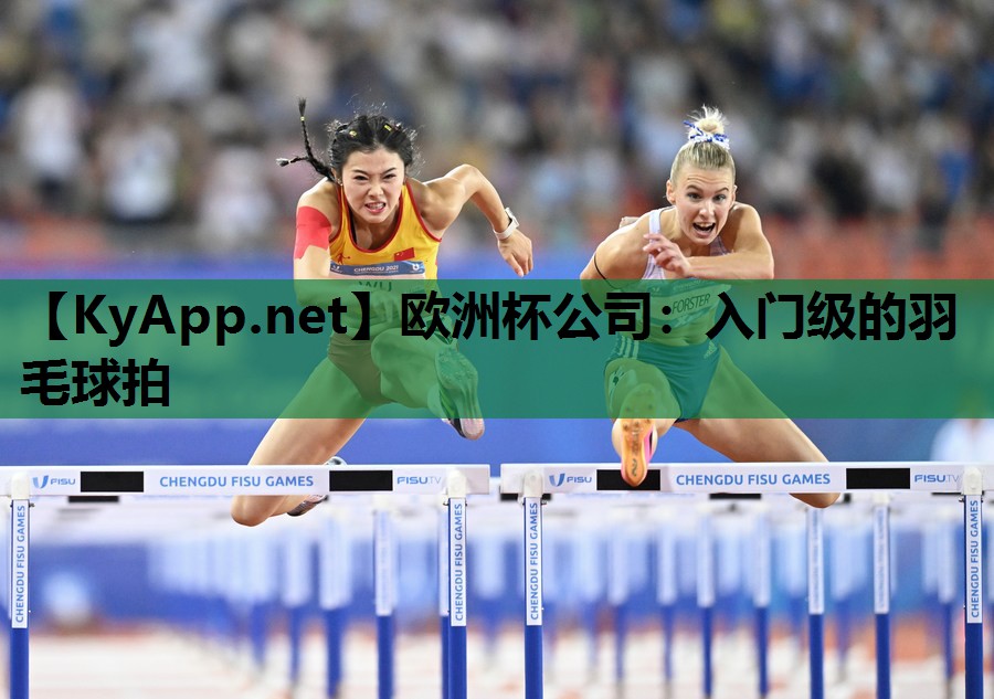 入门级的羽毛球拍 入门级的羽毛球拍