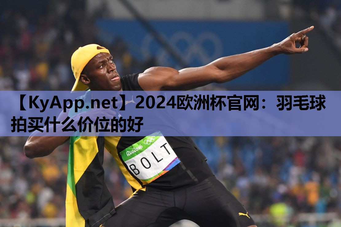 羽毛球拍买什么价位的好 羽毛球拍买什么价位的好