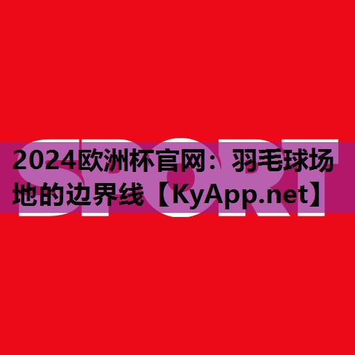 羽毛球场地的边界线 羽毛球场地的边界线