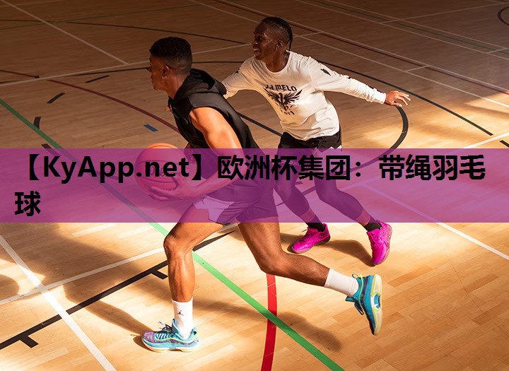 带绳羽毛球 带绳羽毛球