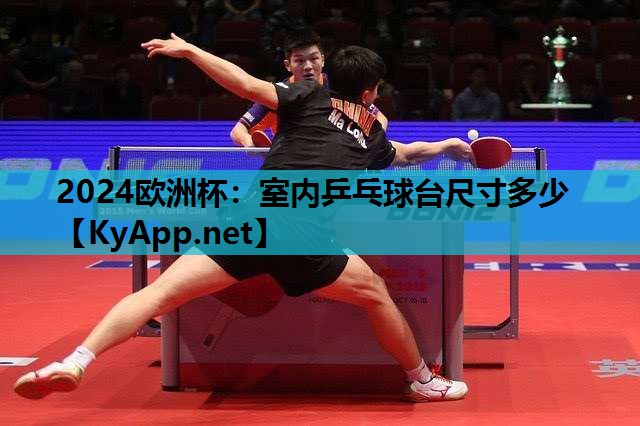 室内乒乓球台尺寸多少 室内乒乓球台尺寸多少