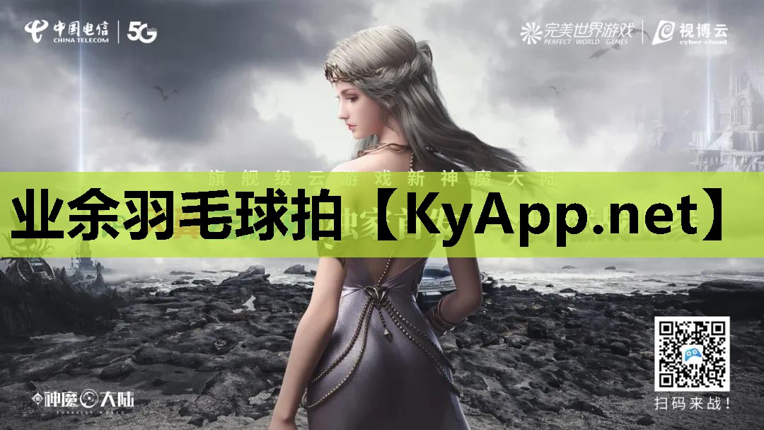 业余羽毛球拍 业余羽毛球拍