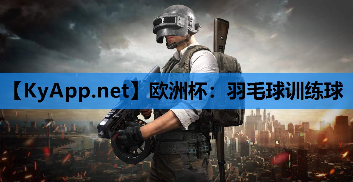 羽毛球训练球 羽毛球训练球